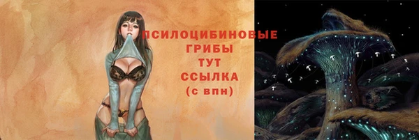 гидра Каменногорск