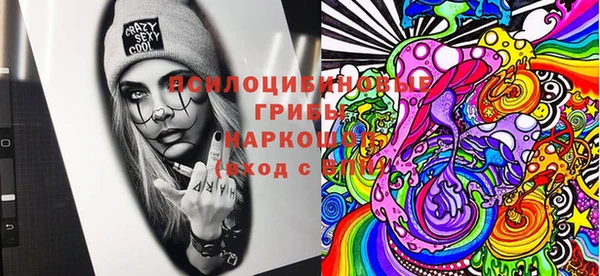 трава Абинск
